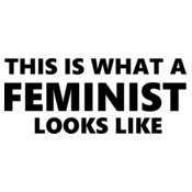 Feminist Looks Like-bk